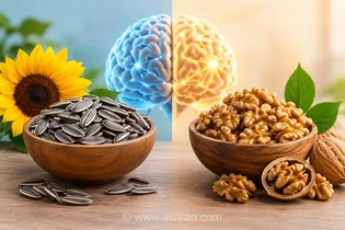 تخمه آفتابگردان و گردو؛ کدام برای تقویت حافظه بهتر است؟