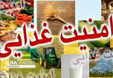 تسریع در اجرای سند دانش‌بنیان امنیت غذایی و تغذیه کشور