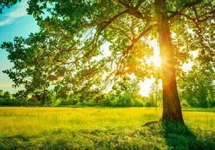 پیش‌بینی هوای صاف و آفتابی تا دوشنبه در مازندران