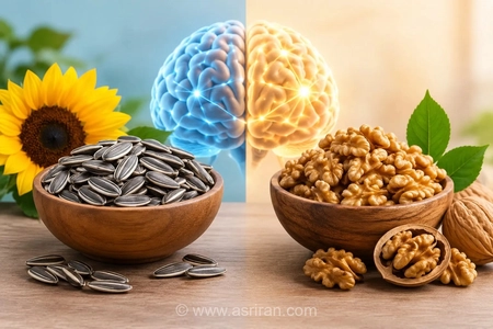 تخمه آفتابگردان و گردو؛ کدام برای تقویت حافظه بهتر است؟