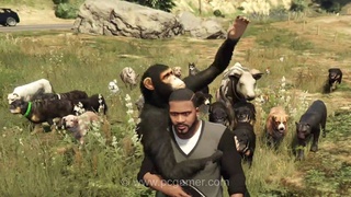 گیمر: من تعدادی سگ، چند گاو، دو شیر و یک شامپانزه به GTA 5 اضافه کردم و همه آن‌ها دوستان من هستند
