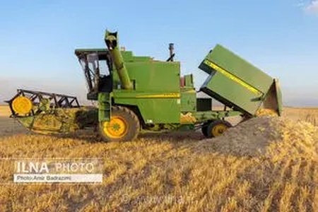 خرید ۳۸ هزار تن گندم و کلزا توسط شبکه تعاون روستایی قزوین