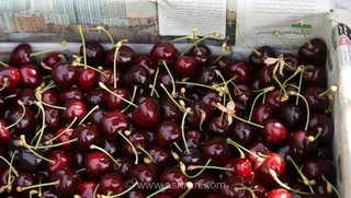 ناکامی قاچاقچی گیلاس در مرز تمرچین؛ ضبط محموله ۱۲ تنی و جریمه سنگین میلیاردی برای متخلف پیرانشهری