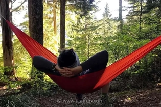 آسیب تورهای گردشگری لوکس به طبیعت: رفتار گردشگران و حرفه‌ای نبودن برگزارکنندگان عامل اصلی
