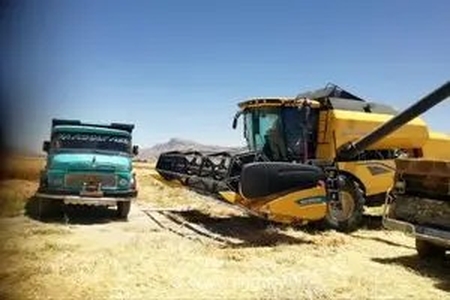 پایان برداشت گندم در فسا با تولید ۴۳ هزار تن محصول
