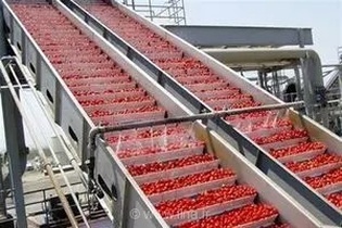 تحول در صنایع تبدیلی فارس با سرمایه‌گذاری ۹ هزار میلیاردی و ایجاد صدها فرصت شغلی جدید