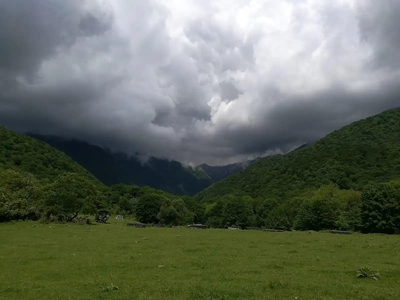 بارش باران در شمال غرب و سواحل خزر