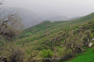 رفع تصرف ۲۵ هکتار از اراضی ملی و ساحلی غرب مازندران