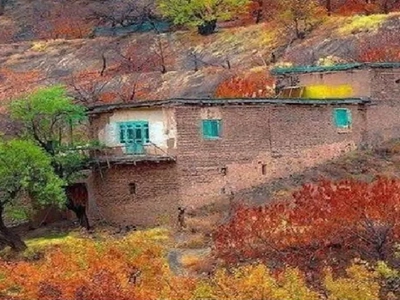 یاد احمد شاملو و پاییز با توفان رنگ