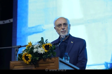 صالحی: ایران با حکمت الهی بنا شده و هرگز ویران نمی‌شود