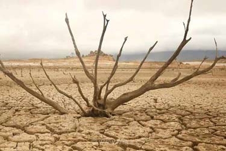 پشت پرده نقش هوش مصنوعی در مقابله با تغییرات اقلیمی