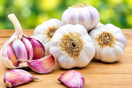 سیر و خواص دارویی آن: از خواص ضدمیکروبی تا محافظت از قلب