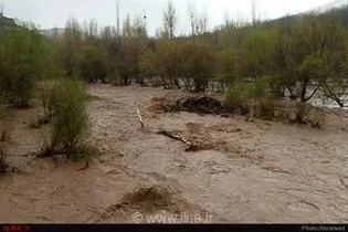 خسارت ۲۴۰ میلیارد تومانی طوفان و باران به باغات جیرفت