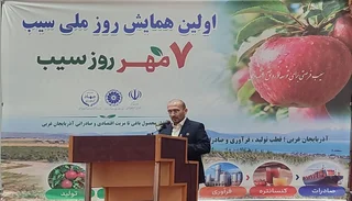 خطر از دست رفتن بازارهای صادراتی سیب ایران با وجود تولید ۴ میلیون تنی