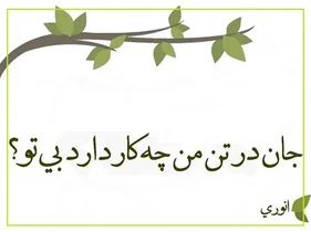 انوری ابیوردی: شاعر و دانشمند قرن ششم هجری
