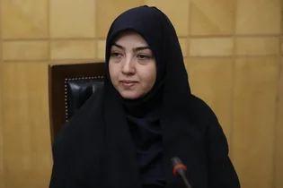 تعلل وزارت نیرو در توسعه انرژی‌های تجدیدپذیر؛ انتقاد کمیسیون صنایع