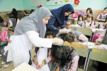 افزایش آمار شپش سر در مدارس تهران و کشور / شناسایی ۳۵۵ هزار مبتلا