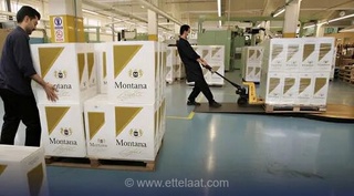 سقوط بازار سیگار ایران؛ نفوذ محصولات آمریکایی و انگلیسی با تخفیف‌های مالیاتی