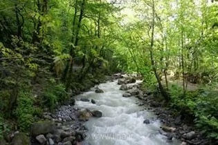 گیلان در گرمای شرجی تا سه شنبه؛ احتمال بارش‌های رگباری