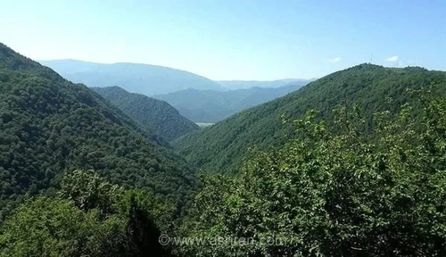 تلاش مأموران پلیس برای یافتن ۴ جوان مفقود شده در جنگل‌های شهرستان تالش گیلان