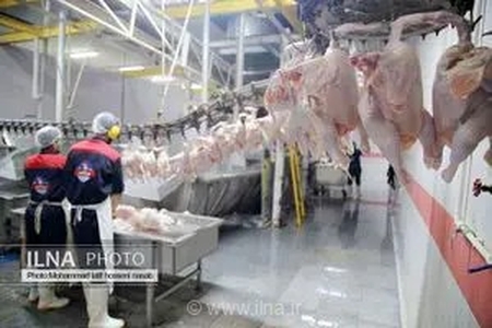 فعال‌سازی مجدد طرح خرید تضمینی گوشت مرغ در خوزستان برای حمایت از تولیدکنندگان