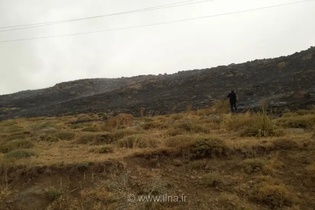 مهار آتش‌سوزی در تالاب نئور اردبیل؛ تاکید بر رعایت نکات ایمنی