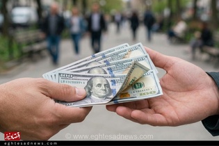 یورو در مردادماه با رشد ۳.۳۴ درصدی، بهترین عملکرد ارزی را داشت؛ درهم تنها بازنده