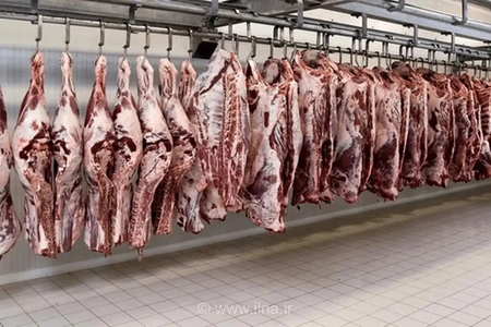 کاهش ۱۱ درصدی عرضه گوشت قرمز در مرداد ۱۴۰۵