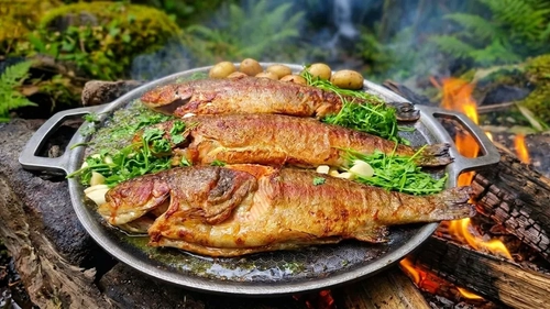 طرز پخت قزل‌آلای تازه در طبیعت با آتش هیزمی
