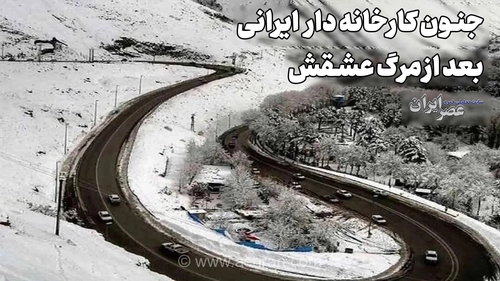 جنون کارخانه دار ایرانی بعد از مرگ عشقش (+صدا)