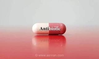 4 گیاه طبیعی با خواص آنتی‌بیوتیکی: سیر، زنجبیل، بابونه و پونه کوهی