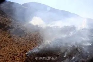 مهار آتش‌سوزی در جنگل‌های کلاردشت؛ بی‌احتیاطی گردشگران عامل اصلی حریق در منطقه تلسنو اعلام شد