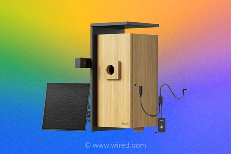 بررسی جامع Birdfy Nest Duo؛ تجربه تماشای مستند طبیعت در حیاط خانه با دوربین‌های هوشمند