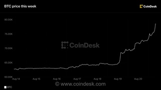 بیت‌کوین از 77 هزار دلار فراتر رفت و بهترین هفته را از سال 2023 تجربه کرد؛ افزایش قیمت آلت‌کوین‌ها