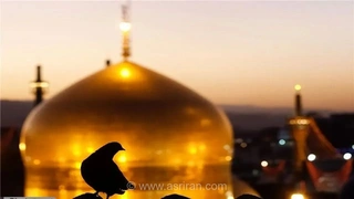 ظرفیت حرم مطهر رضوی تکمیل شد