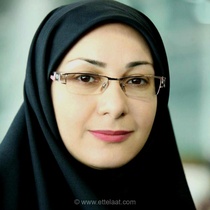 کثرت فرهنگی، حافظه جمعی و نقش رویدادها در تقویت سرمایه اجتماعی