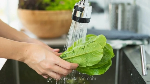 هشدار جدی متخصصان درباره مصرف کاهو؛ سبزی محبوب سالاد می‌تواند شما را راهی بیمارستان کند!