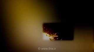 حمله موشکی و پهپادی به پایگاه‌های آمریکا در امارات و کویت؛ انتقام ارتش ایران