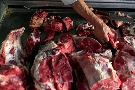 کشف ۲۵۴ کیلوگرم گوشت الاغ و قاطر در تهران/ دستگیری ۵ متهم