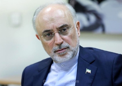 پیام تسلیت رئیس بنیاد ایران‌شناسی برای درگذشت روزنامه‌نگار پیشکسوت