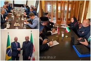 تبادل تجربیات وزرای کار بریکس در حوزه اشتغال‌زایی و رفاه اجتماعی میان