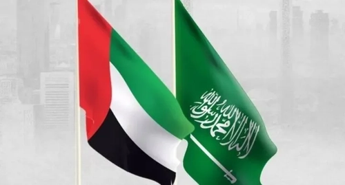 هشدار امارات درباره تلاش برای ایجاد تفرقه میان ریاض و ابوظبی
