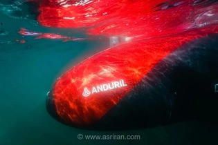 زیردریایی بدون سرنشین Dive-LD تا عمق 6000 متری؛ قابلیت‌های منحصربه‌فرد این فناوری چیست؟