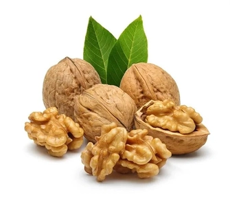 چگونه گردو را به درستی نگهداری کنیم تا تازگی و خواص خود را حفظ کند؟