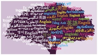 تاسیس بنیاد زبان و ادبیات ترکی با استقبال روبرو شد