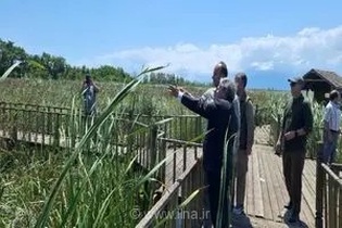 بازدید معاون سازمان محیط زیست از تالاب امیرکلایه؛ تاکید بر تقویت زیرساخت‌های حفاظتی و توسعه گردشگری پایدار در گیلان