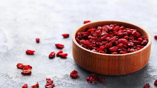 زرشک؛ گنجینه سرخ خراسان جنوبی با خواص درمانی شگفت‌انگیز در طب سنتی ایران