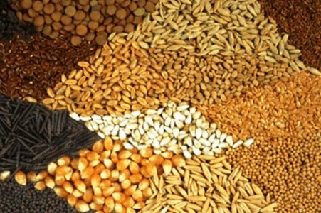 توزیع گسترده نهاده دامی در فارس برای حمایت از تولید