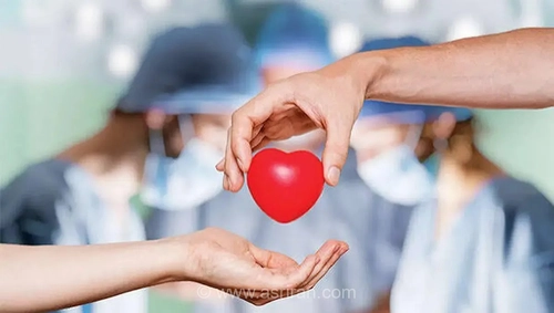 بحران در اهدای عضو؛ هدررفت سالانه ۸ هزار عضو حیاتی و سقوط جایگاه ایران در آسیا