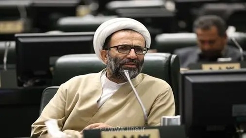انتقاد عضو هیات رئیسه مجلس از مخالفت دولت با طرح مقابله با نفوذ